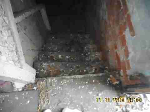 3319 Pingree (30)_m.jpg